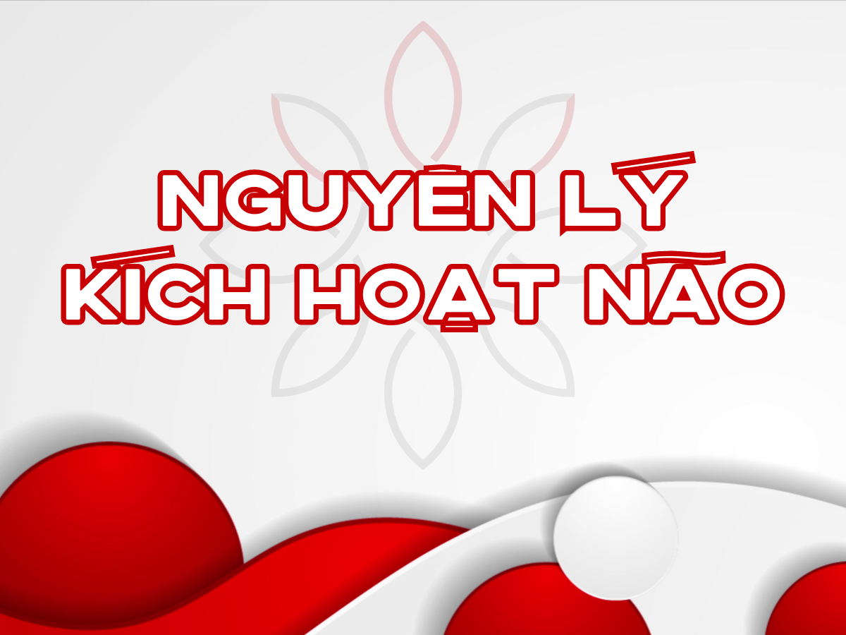 Nguyên lý Kích Hoạt Não