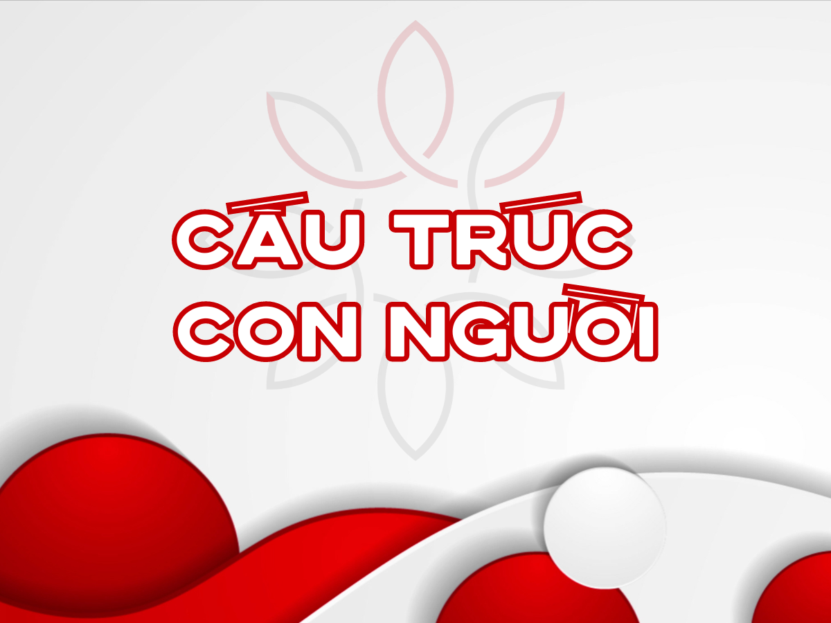 Hệ quy chiếu chuẩn Cấu Trúc Con Người
